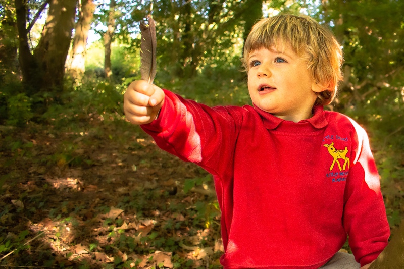 little-deers-learning0038